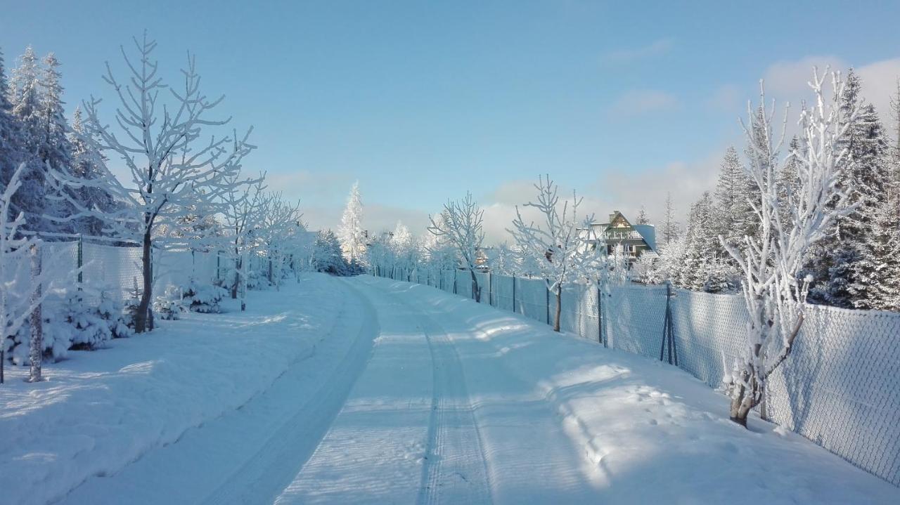 Apartament Nad Stawem Zakopane Buitenkant foto