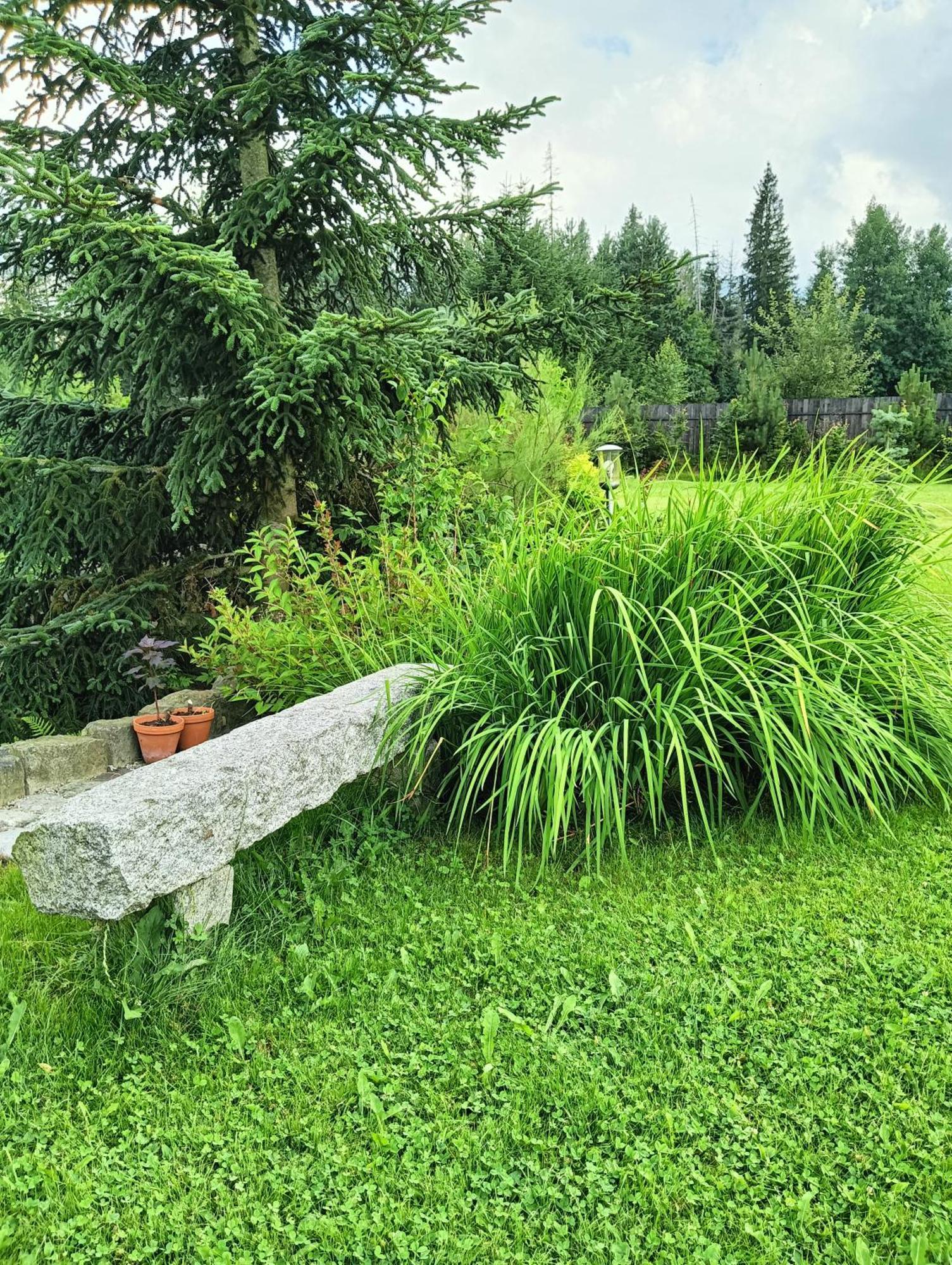 Apartament Nad Stawem Zakopane Buitenkant foto