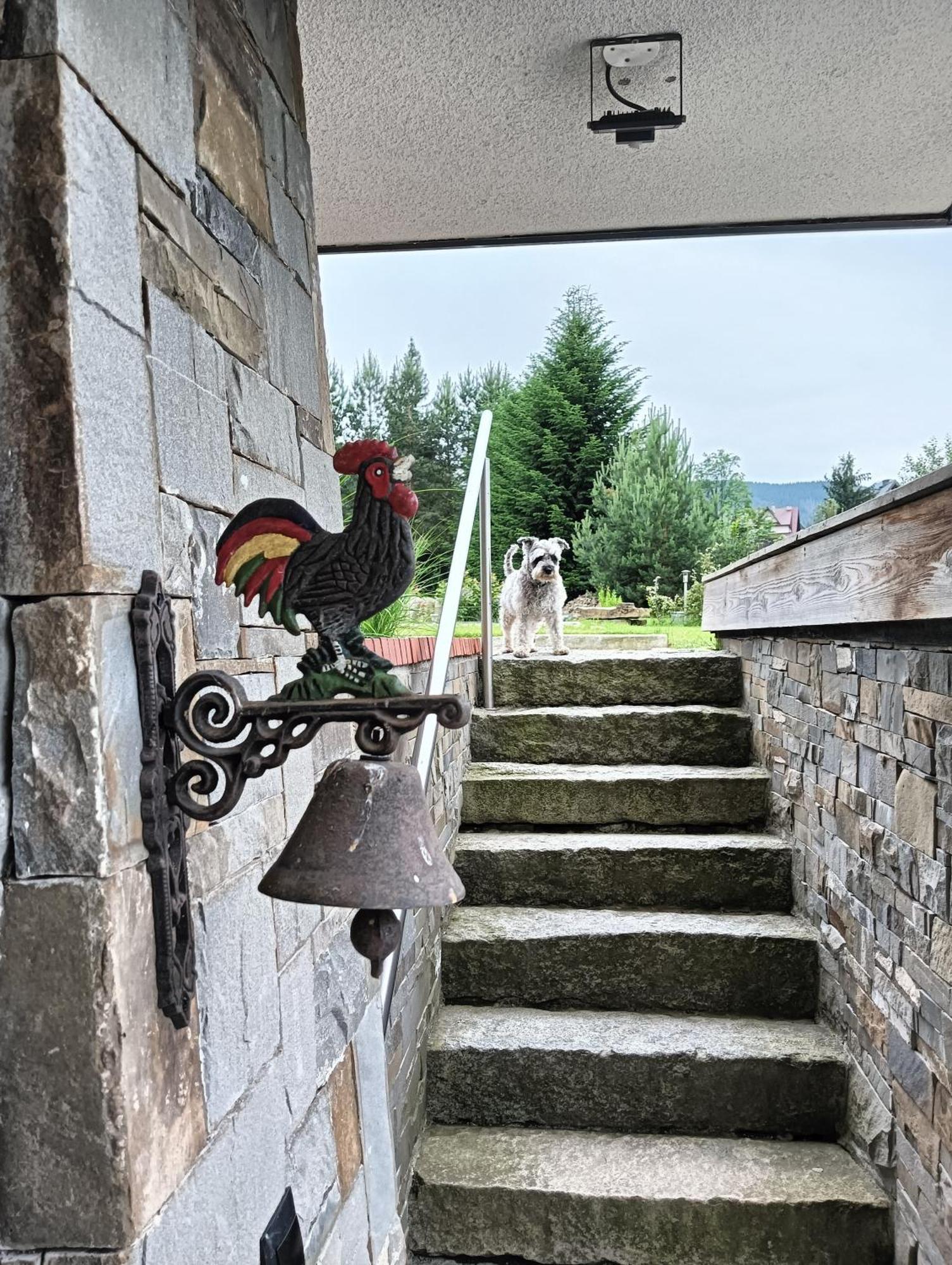 Apartament Nad Stawem Zakopane Buitenkant foto